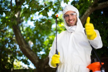 Bug Control, Pest Control in Walton-on-Thames, Hersham, KT12. Call Now 020 8166 9746