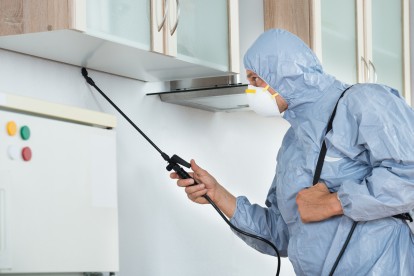 Home Pest Control, Pest Control in Walton-on-Thames, Hersham, KT12. Call Now 020 8166 9746